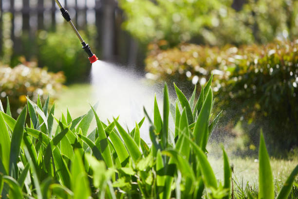 24/7 Emergency Mosquito Control experts in Dripping Springs, TX