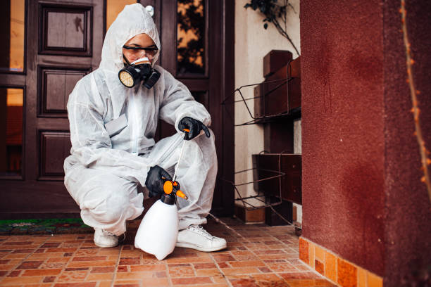 Reliable Mosquito Control contractor in Dripping Springs, TX by Show Me Pest Control